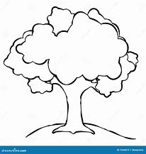 Image result for Tree Types Line Art