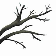 Image result for Tree Branch Headboard