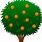 Image result for Tree Parts Clip Art