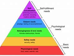 Image result for Maslow's Pyramid of Human Needs