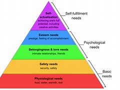 Image result for Maslow PNG