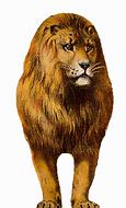 Image result for Lion Clip Art Easy