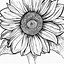 Image result for Sunflower Flower Coloring Pages