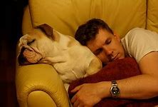 Image result for Pic of Security Guard Sleeping