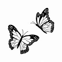 Image result for Butterfly Tattoo Sketches