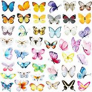 Image result for Asry Vinyl Butterfly Stickers