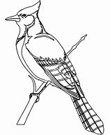 Image result for Bird On Branch Coloring Page