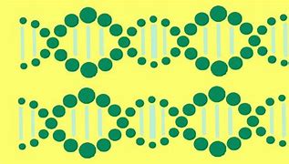 Image result for RNA/DNA Vector