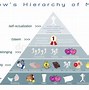 Image result for Maslow Learning Theory