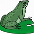 Image result for Frog ClipArt Clker