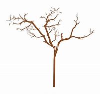 Image result for Dried Tree Branches Drawing