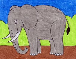 Image result for Animals Drawing for Coloring