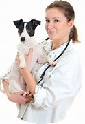 Image result for Animal Clinic Floor Plans