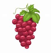 Image result for Grapes Outline