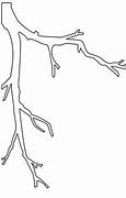 Image result for Coloring Page of Branch