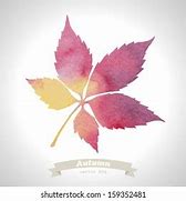 Image result for Individual Watercolor Leaf