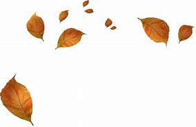 Image result for Fall Leaf Falling