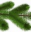 Image result for Leaf Branch Clip Art