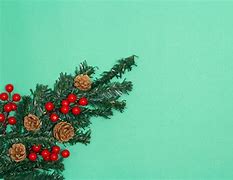 Image result for Holly Berries and Pine Cones Clip Art