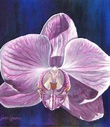 Image result for Orchid Paintings Famous