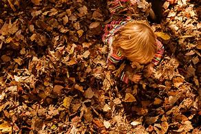 Image result for Leaf Pile Outline