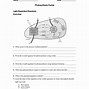 Image result for Light-Dependent Reaction