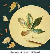 Image result for Pencil Drawing of an Oak Leaf