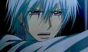 Image result for Vampire Knight 2 Manga