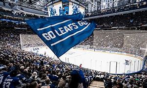 Image result for Maple Leafs Game