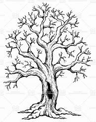 Image result for Oak Tree Sketch