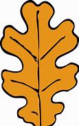 Image result for Oak Leaf PNG