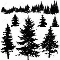 Image result for Pine Tree Silhouyette