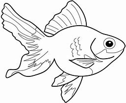 Image result for Fish Coloring Pages A4