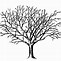 Image result for Trees without Leaf Silhouette