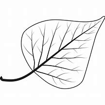 Image result for Birch Leaves Cut Out