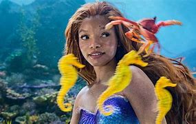 Image result for Under the Sea Dramatic Play