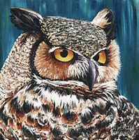 Image result for Colorful Owl Print