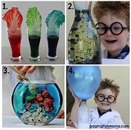 Image result for Easy Science Projects