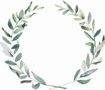 Image result for Olive Branch Transparent Background