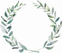 Image result for Olive Branch Transparent Background