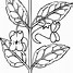 Image result for Flower Outline Stickers