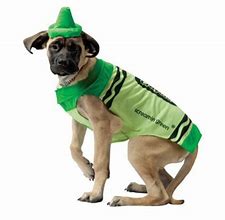 Image result for Crayola Dog