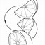 Image result for Grapefruit Coloring Page