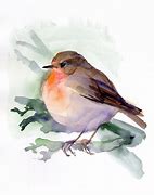 Image result for watercolor bird art