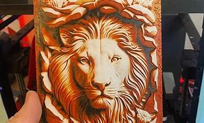 Image result for Lion Adult Coloring Book Finished