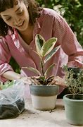 Image result for Girl Planting Clip Art