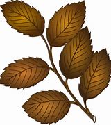 Image result for Olive Branch Drawing Clip Art