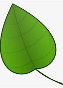 Image result for Apple Tree Leaf Clip Art