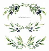 Image result for Curved Olive Branch Green Clip Art