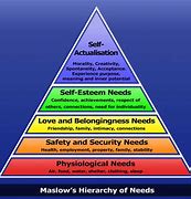 Image result for Mazel's Hierarchy of Needs